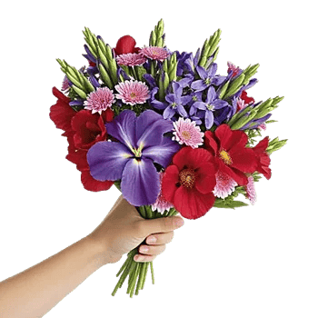 Ivory Blossom Radiance