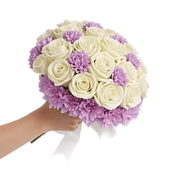 Pastel Pink Roses