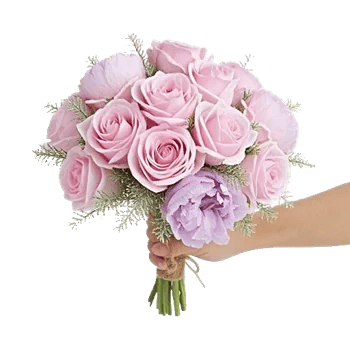 Pastel Pink Roses