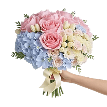 Serene Petal Harmony