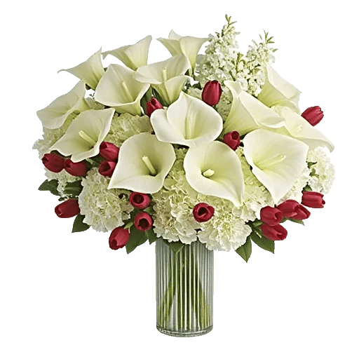 Elegant Calla Lilies