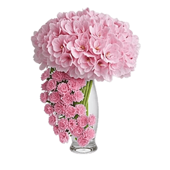 Delicate Petal Cascade