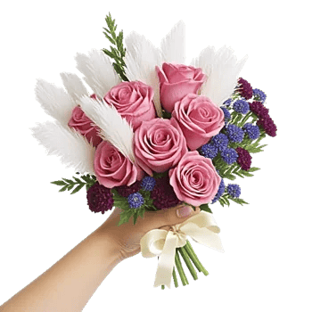 Pink Pastel Roses