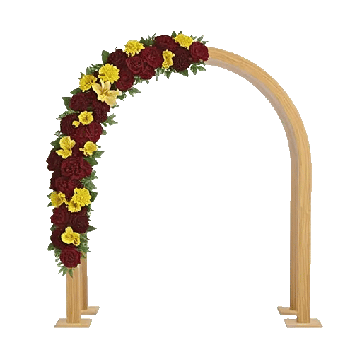 Modern White Orchids