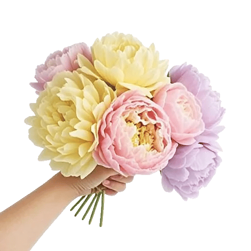 Peony Petal Harmony