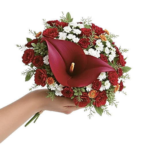 Elegant Calla Lilies