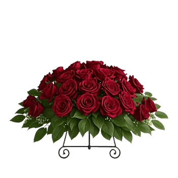 Crimson Rose Elegance
