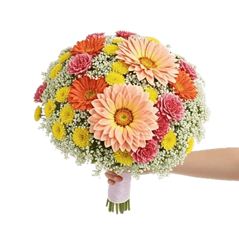 Delicate Petal Cascade