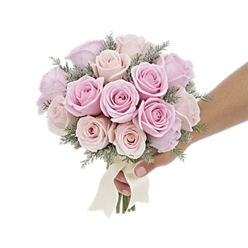 Pastel Pink Roses