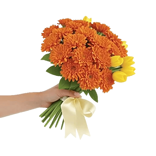 Vibrant Orange Delight