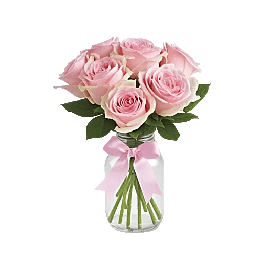 Pink Pastel Roses