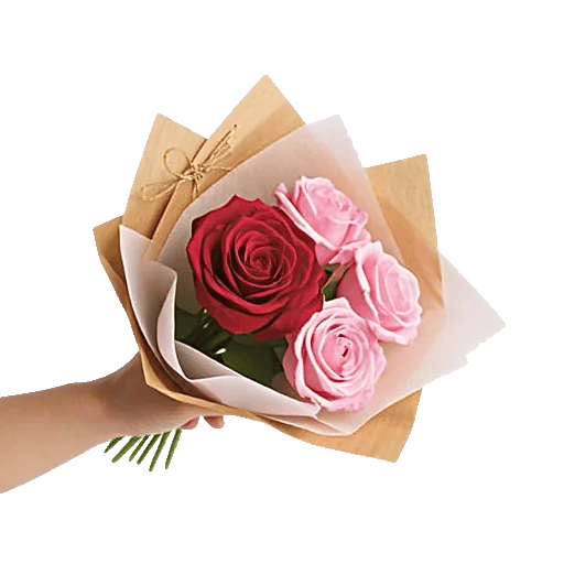 Crimson Rose Elegance