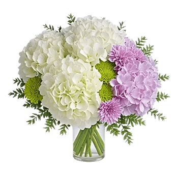 Ivory Blossom Radiance