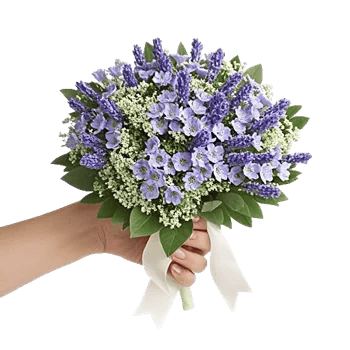 Blossom Petal Serenity