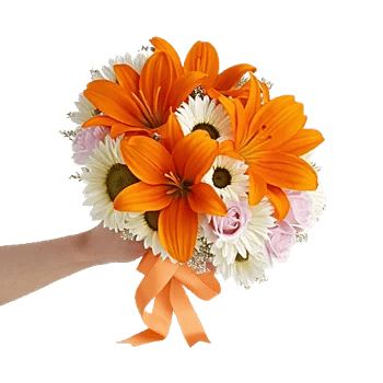 Blossom Glow Symphony