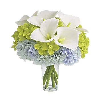 Elegant Calla Lilies