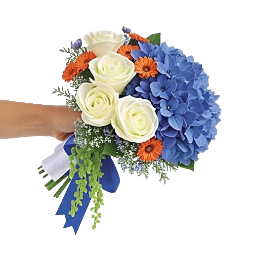 Serene Petal Harmony