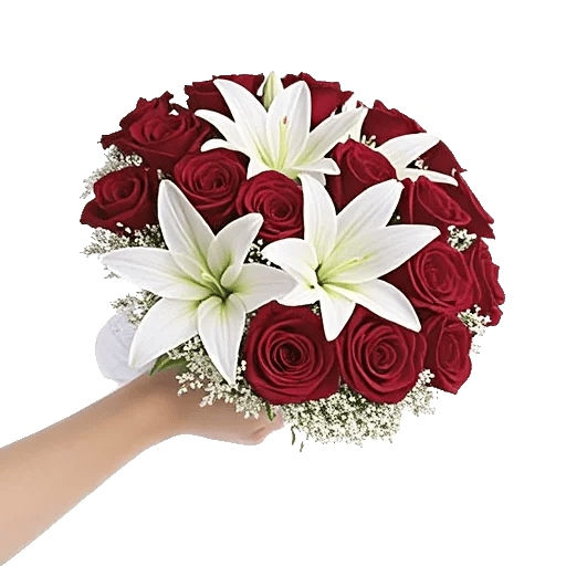 Crimson Rose Elegance