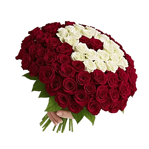 Crimson Rose Elegance