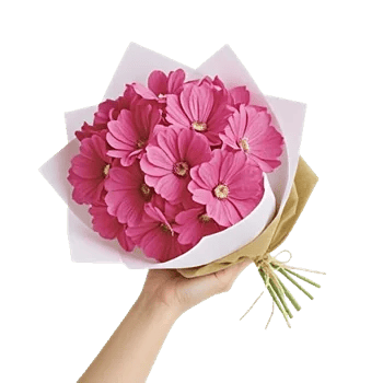 Pink Pastel Roses