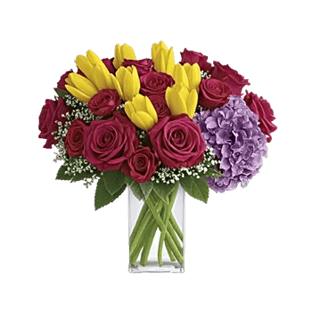 Velvet Tulip Display
