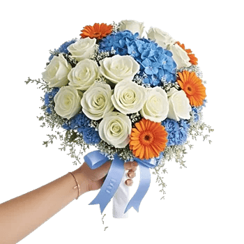 Serene Petal Harmony