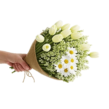 Blossom Harmony Display