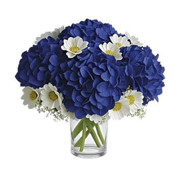 Sapphire Bloom Whisper