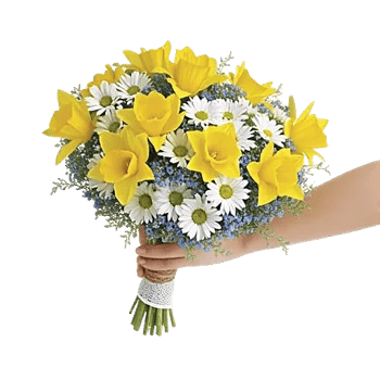 Blossom Harmony Display