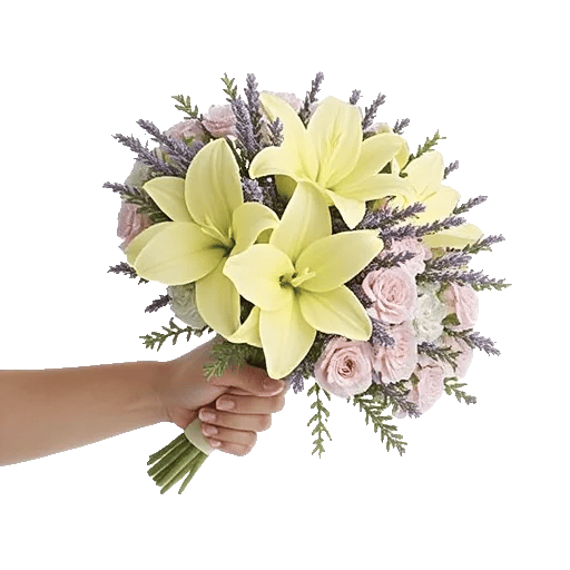 Blossom Harmony Display