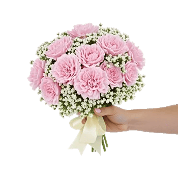 Pastel Pink Roses