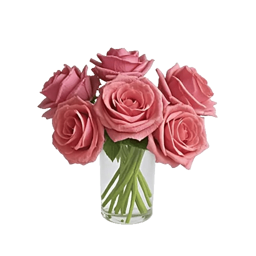 Radiant Rose Symphony