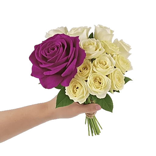 Blushing Rose Symphony