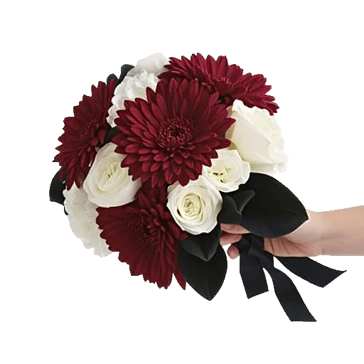 Elegant Calla Lilies