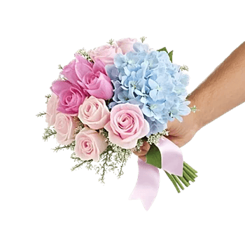 Pastel Blossom Grace