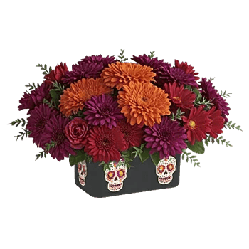 Vibrant Orange Delight