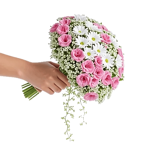 Ivory Garden Grace