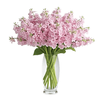 Graceful Lily Display