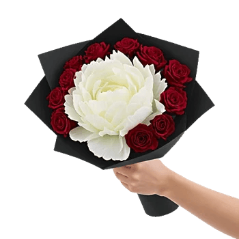 Peony Petal Harmony
