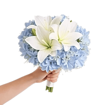 Serene Petal Harmony