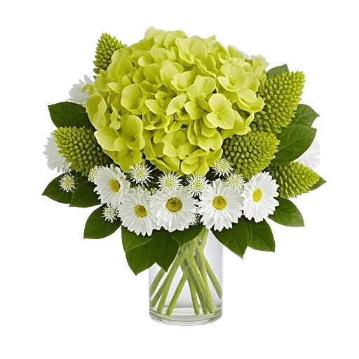 Emerald Bloom Cascade