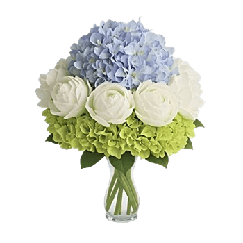 Blooming Serenity Display