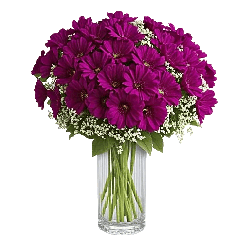 Ivory Blossom Radiance