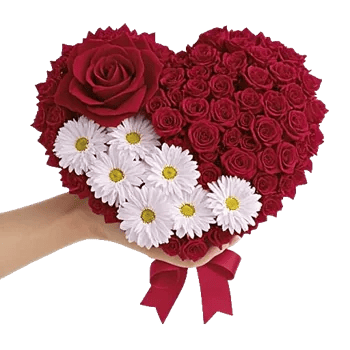 Crimson Rose Elegance