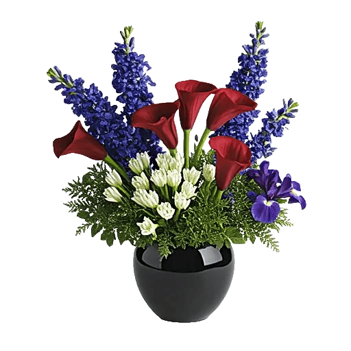 Elegant Calla Lilies