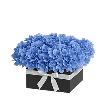 Sapphire Bloom Whisper