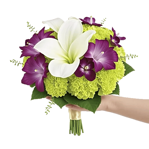 Elegant Calla Lilies