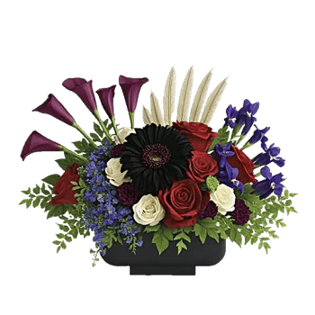 Elegant Calla Lilies