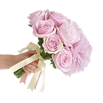 Pastel Pink Roses