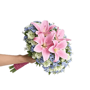 Blossom Petal Serenity